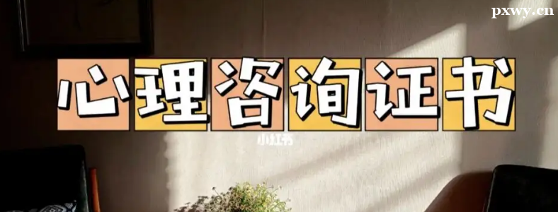 ������ѯʦ����ô��