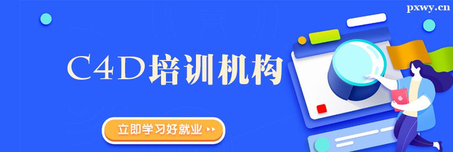 c4d��ѵ����