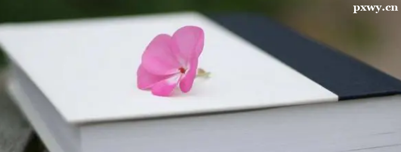 ���г�̿γ�ʲôʱ��ʼ