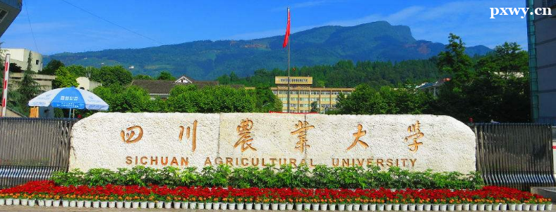 2023���Ĵ�ũҵ��ѧ���з�����