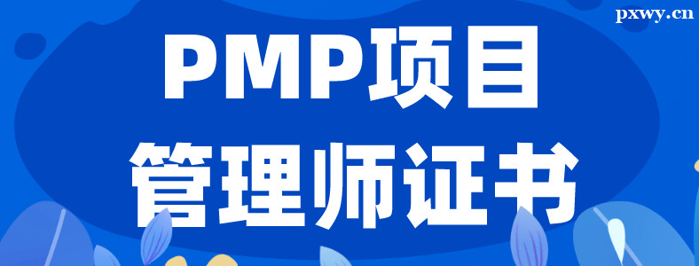 PMP֤��