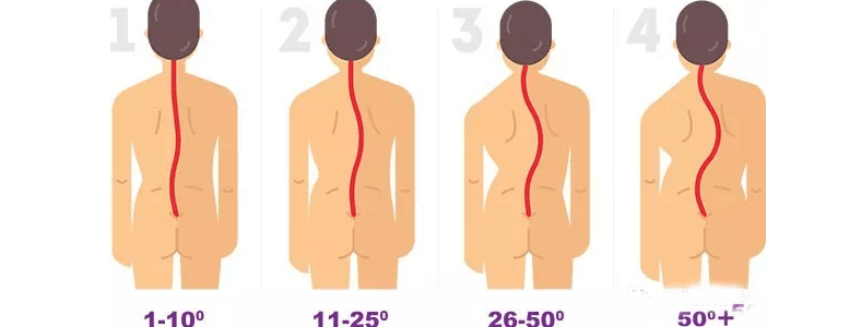 ���Ƽ�������Ķ�������Щ