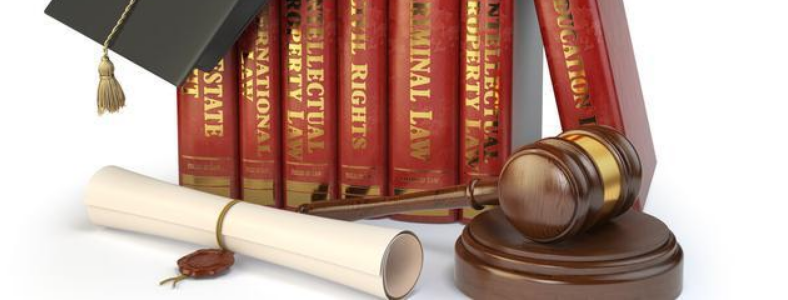 ���з�ѧרҵ��ҵ����