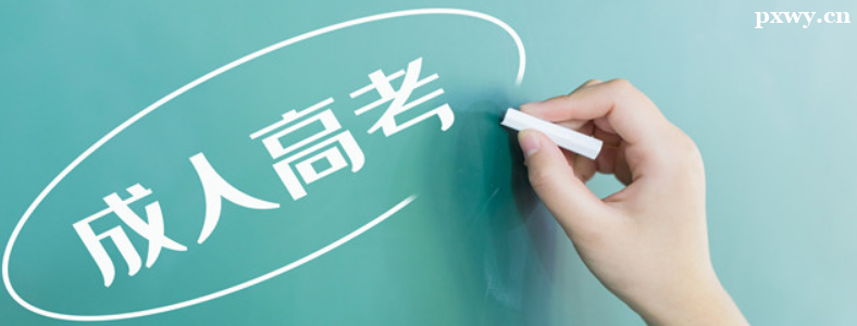 ���˸߿���������վ��ʲô