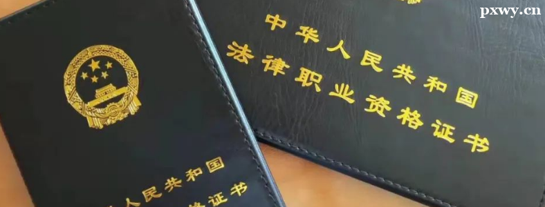 ˾�����Ա�������2023��