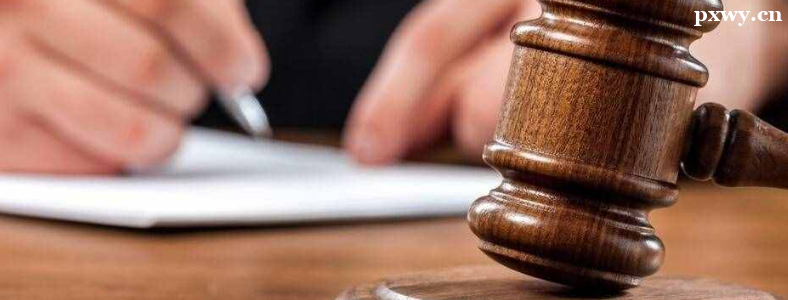 ˾�����Ա�������2023��