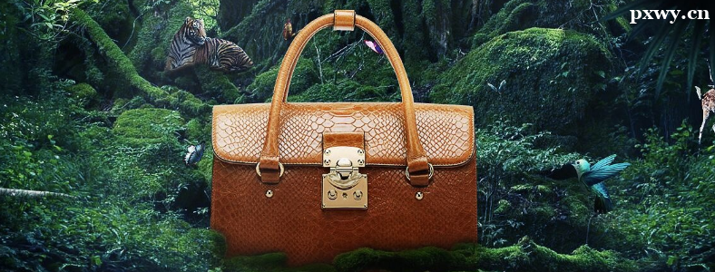 ѧ�Ա�����������ʲô������λ