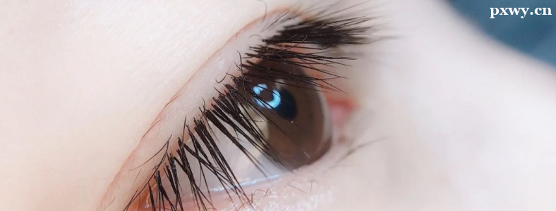 ѧ��ʽ�������޺���