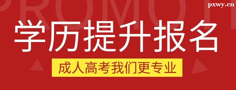 ���˴�ר������������