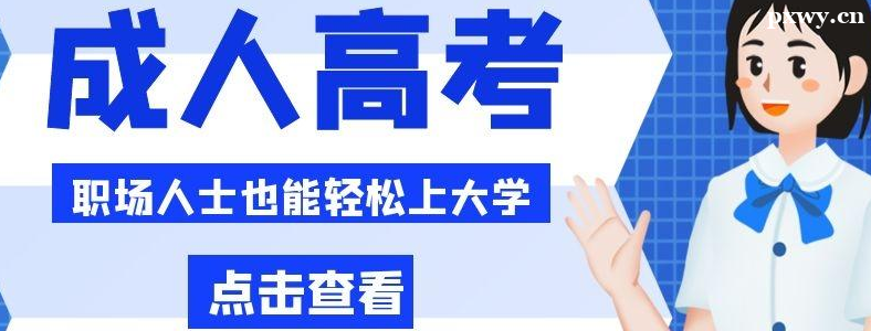 ���˴�ר������������