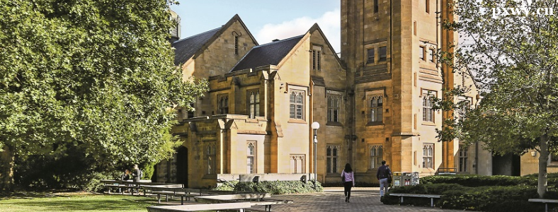 ȥ����ѧ����ѡ�ĸ�ѧУ��