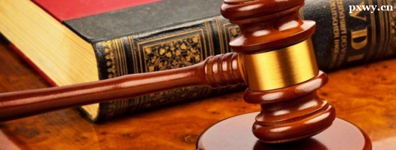 ˾������2023�걨������