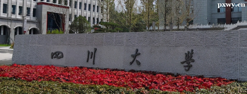 �Ĵ���ѧ2023�꿼�б�������