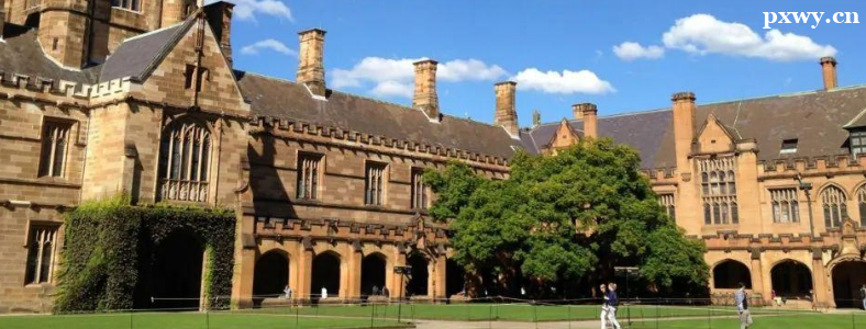 �Ĵ�������ѧ��Ҫʲô�ɼ�