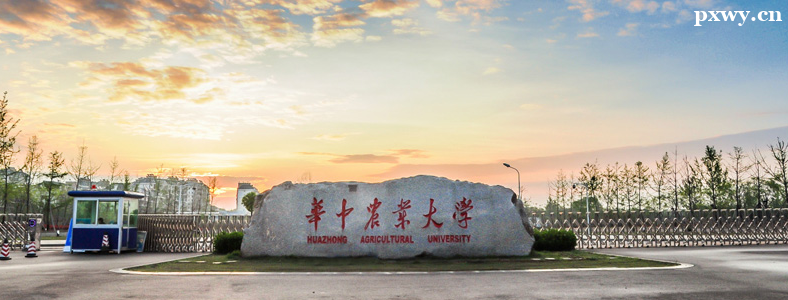 ������Ϣѧ���п�Ŀ