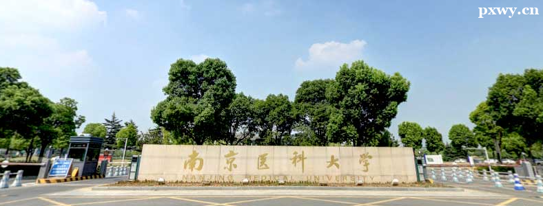 ������Ϣѧ���п�Ŀ