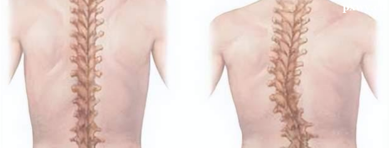 ����������������ܽ�����