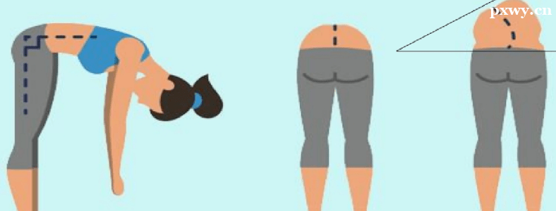 13�꼹�������ܽ���������