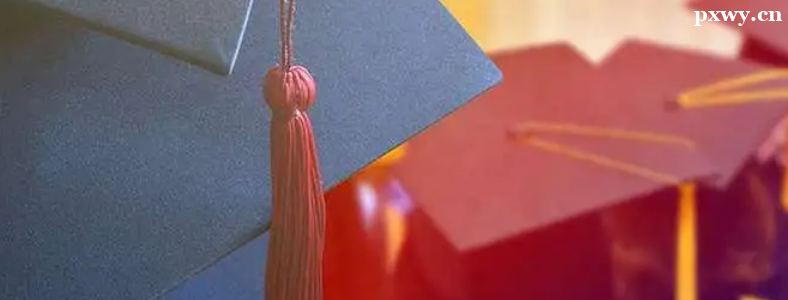 ����������п�Ŀ