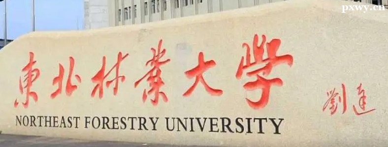 ����԰�տ���ѧУ����