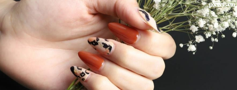 ��������ѧ��ױ�������ĸ���