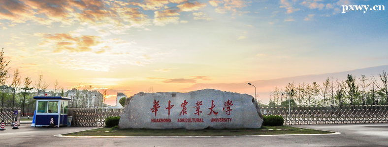 ԰��רҵ�����Ƽ�ԺУ