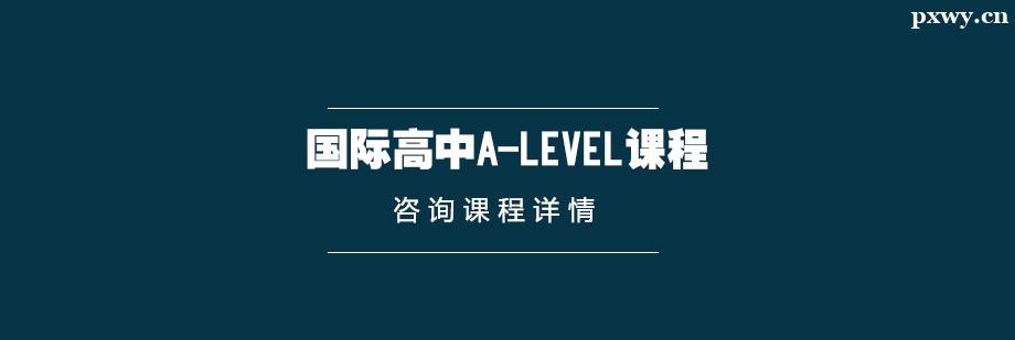 ���ʸ���A-Level�γ���ѵ��