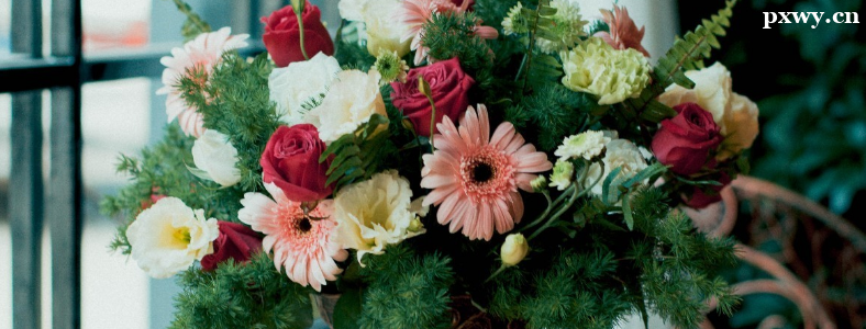 ���պͲ���ѧ��һ���þ�ҵ