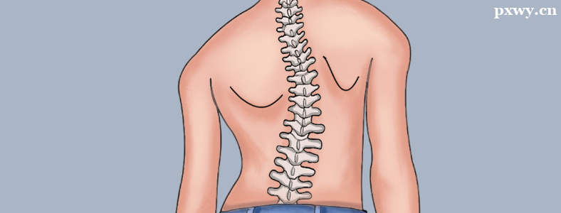 ���������͹�����ܽ�����