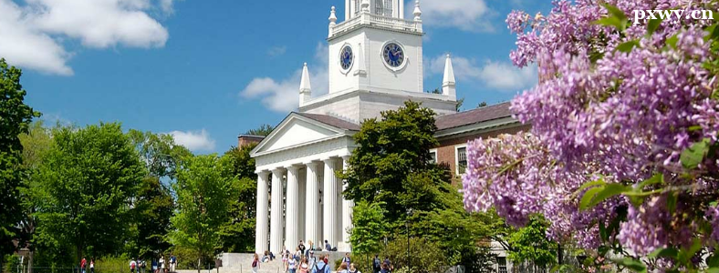 ���б�ҵ������ѧ�����������Щ