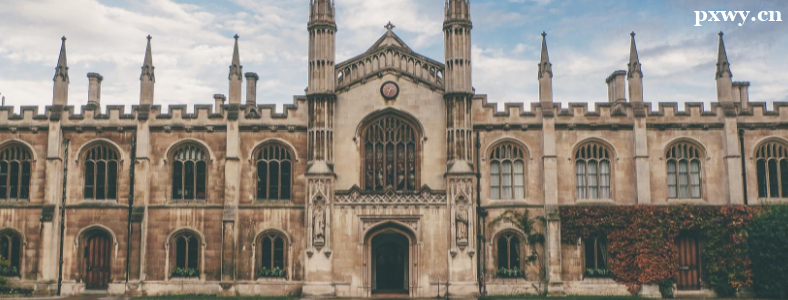 ���б�ҵ������ѧ�����������Щ