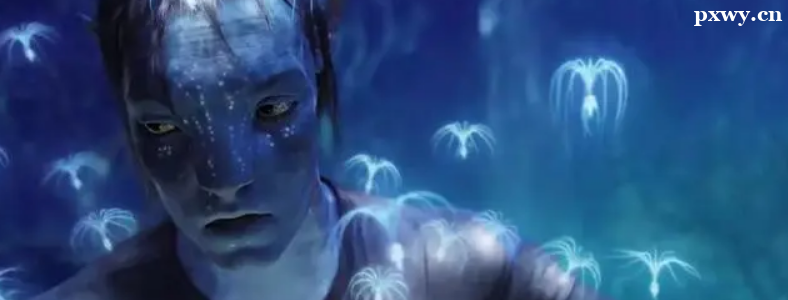 ��ѧ��Ƶ��Ч�������ֱȽϺ�