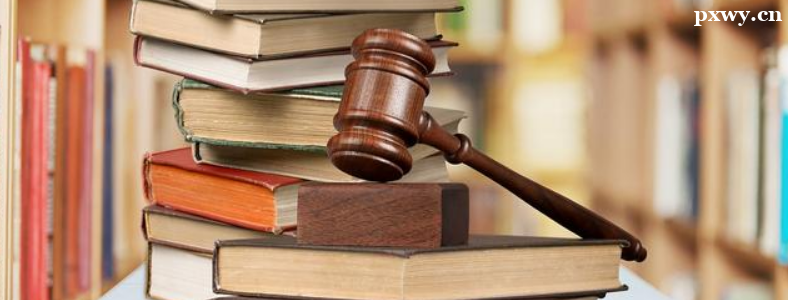 �������˿��Դ���ʲô����