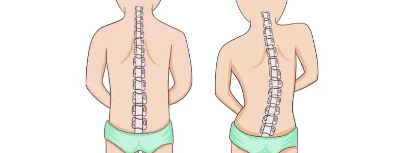 �ٶ������������Ʒ�������Щ