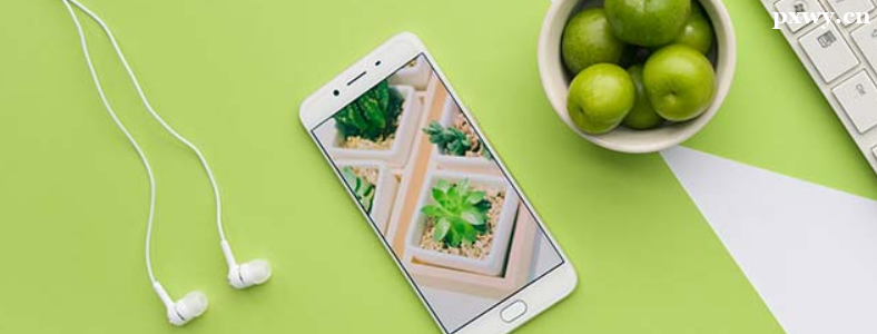 ʯ��ׯ�и�������ѵ�����ļҺ�