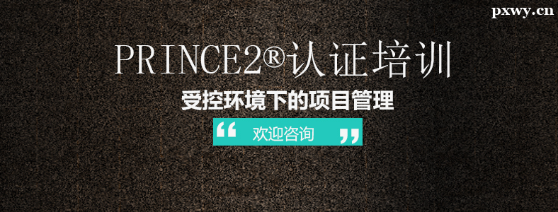 PRINCE2��ҵ����ô����