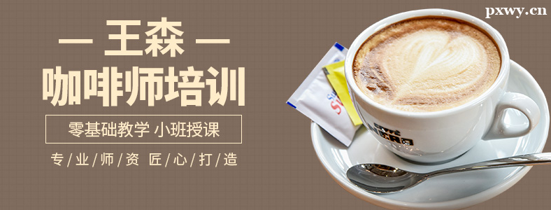 ѧ������ʦ����ѵ�����ĸ���