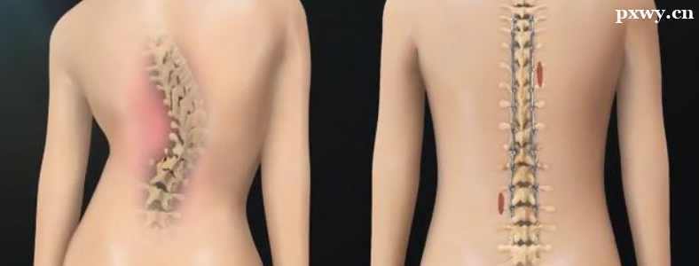 ���˼��������ܽ���������