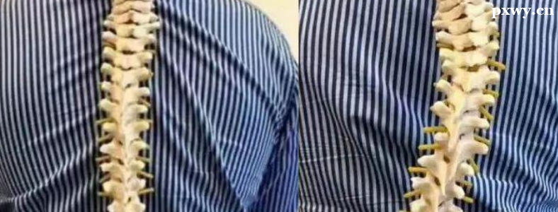 ���˼��������ܽ���������