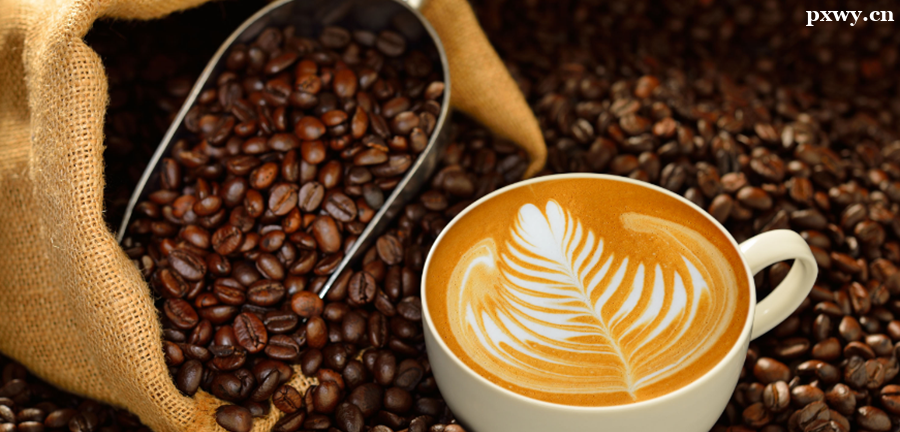 ������ѵ�����ѧ��