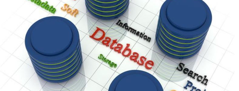 ���ݲֿ���ʲôְλ