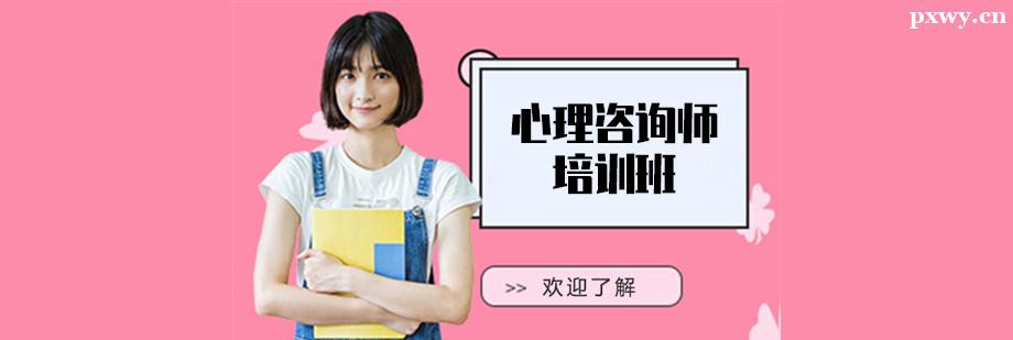 ������ѯʦ��ѵ��