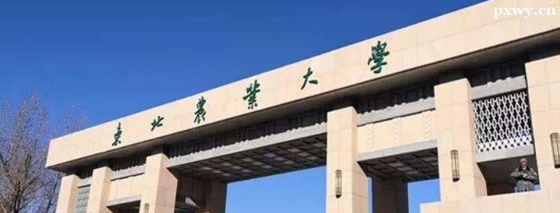 ���������о�����ѧУ��Щ�ȽϺ�