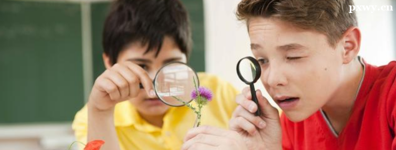 ������������������Ҫ��