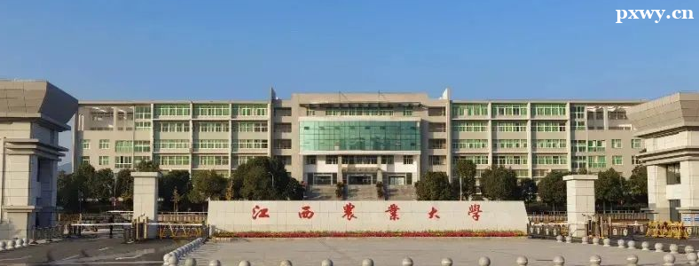 ��������ũҵ��ѧ�о�������