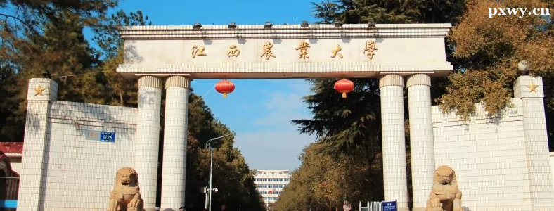 ��������ũҵ��ѧ�о�������