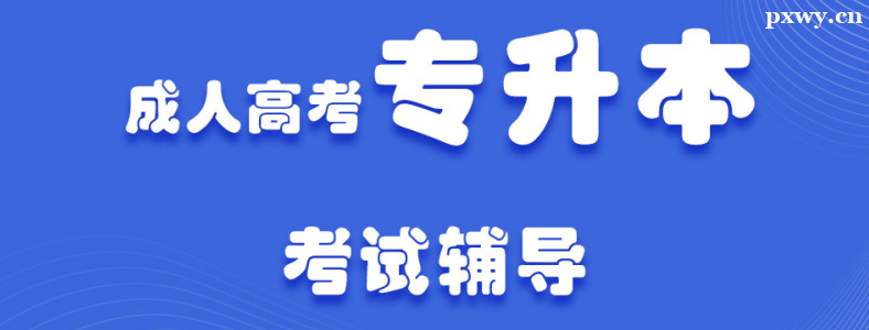 ���˸߿�ר�����ĺ���������