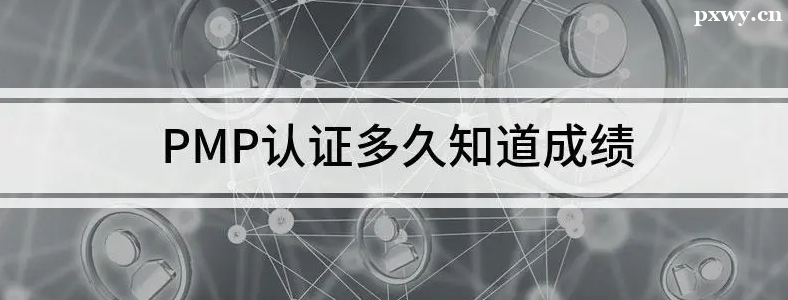 PMP���Զ�ó��ɼ�