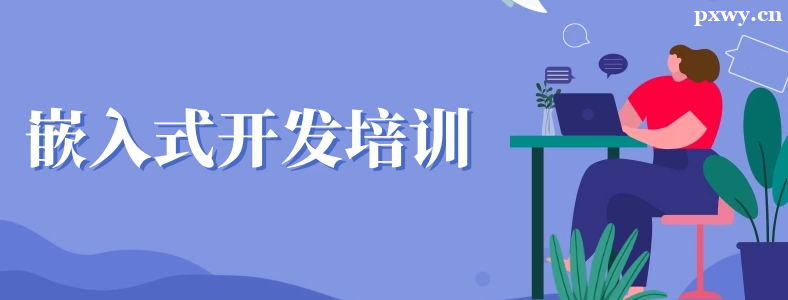 ��ɳǶ��ʽ��ѵ��������