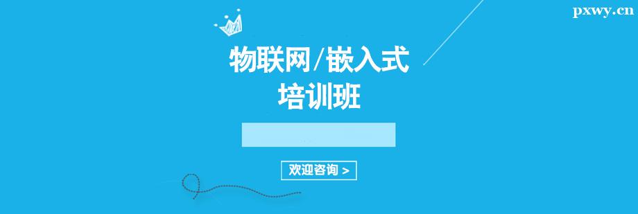 ������/Ƕ��ʽ��ѵ��